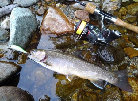 渓流ミノーイング